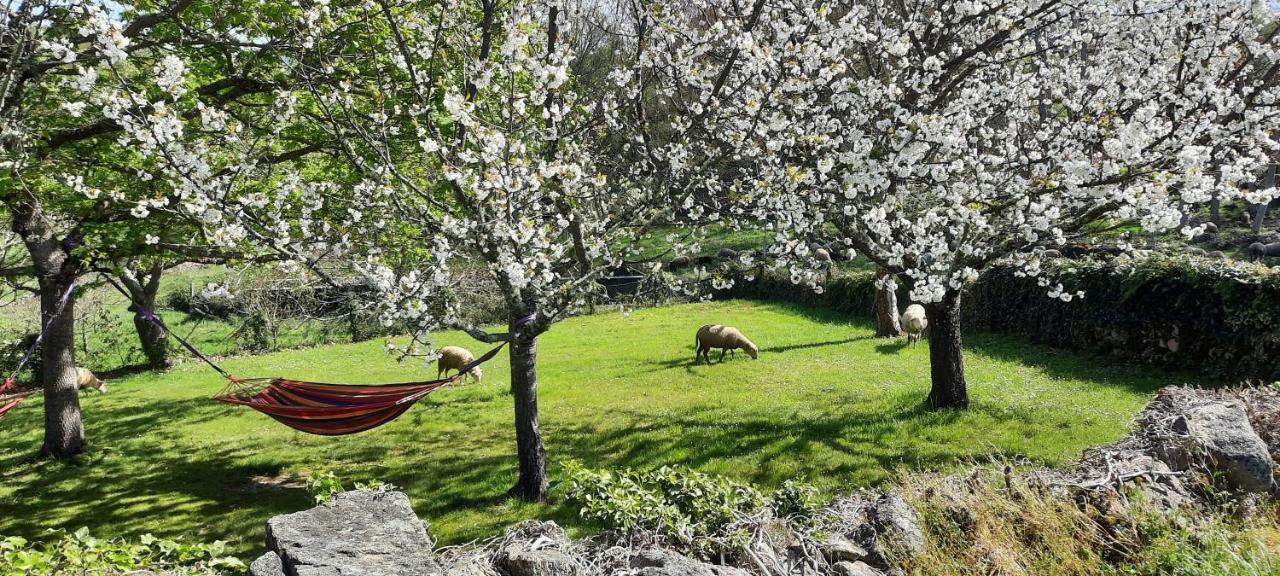 Rectoral De Anllo Hotell Sober Eksteriør bilde